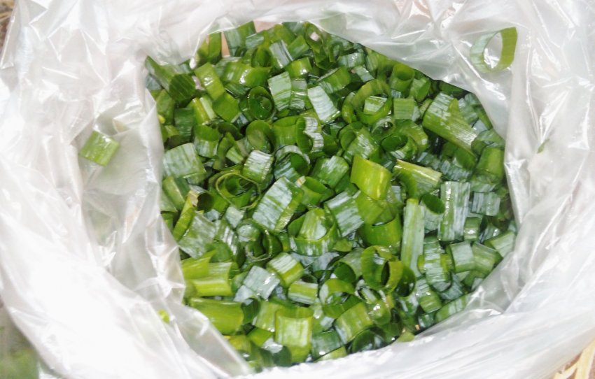 Можно ли замораживать зеленый лук Правда и вымысел о заморозке продуктов Полезные советы, рецепты заготовок, другие способы сохранить зелень зимой