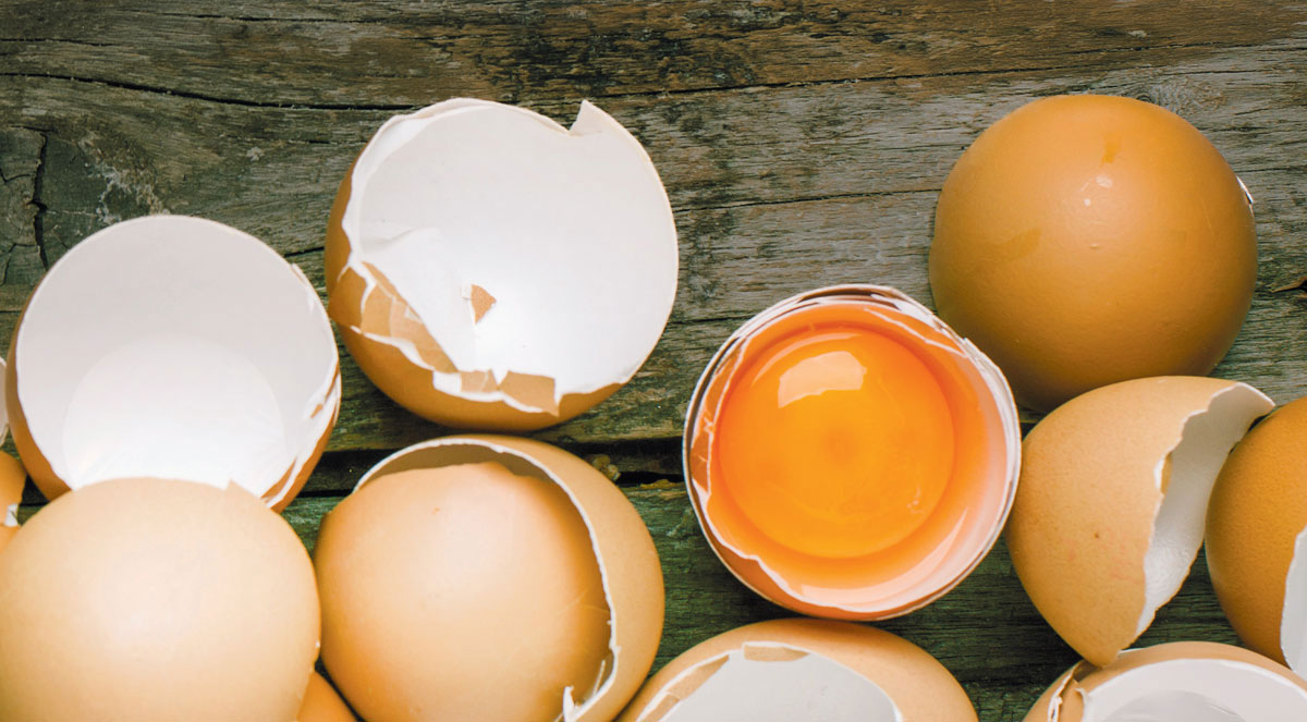 Как правильно варить яйца, чтобы легко чистилась скорлупа