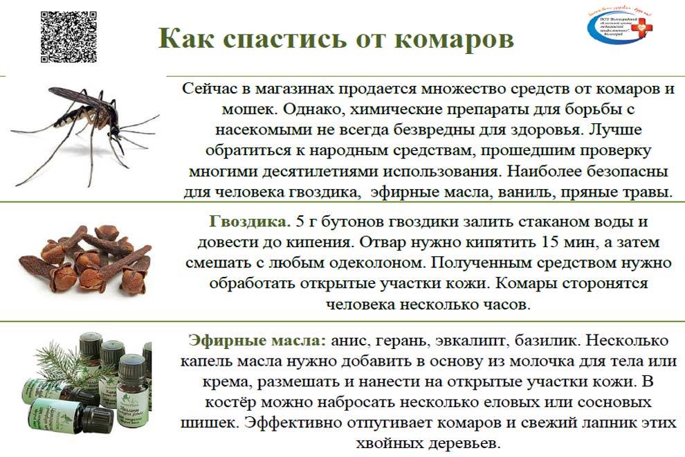 Народные средства от комаров: рецепты своими руками (на природе и в квартире), приготовление в домашних условиях, защита для детей и животных