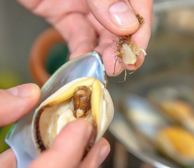 С повышением доступности морепродуктов у хозяек все чаще возникает вопрос, как чистить мидии в зависимости от состояния ингредиента и какой обработке их подвергать