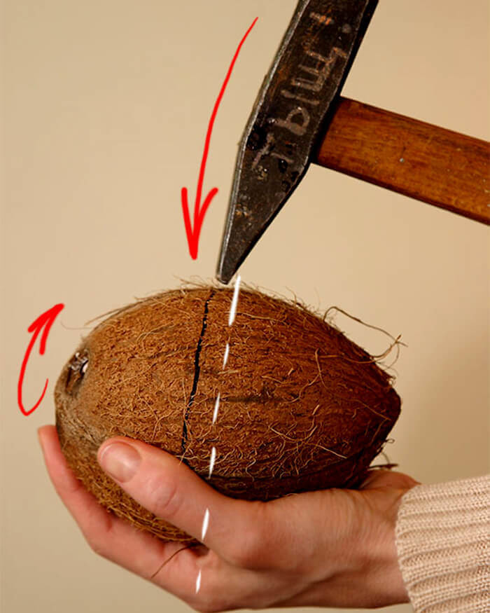 Как чистить кокос от скорлупы в домашних условиях?