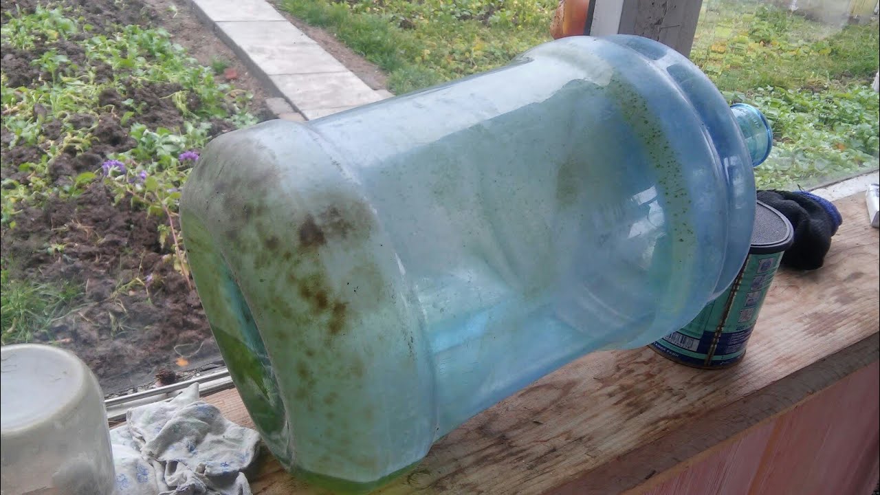 Чем отмыть зеленый налет. Вода в больших бутылках. Пластиковая бутылка для воды. Большие пластиковые бутылки. Баклажка воды 20 литров.