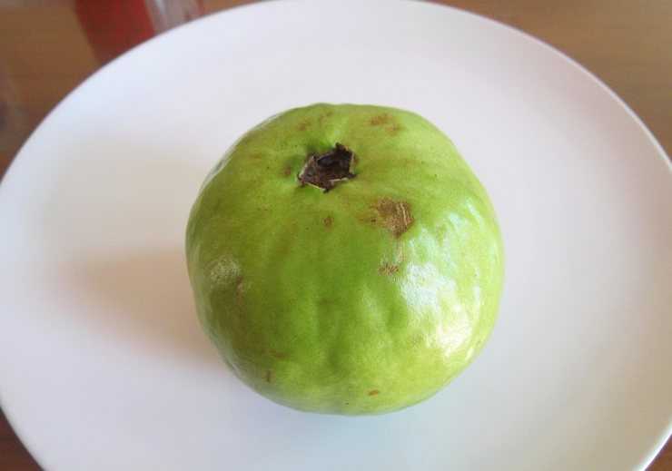 На что похож тропический фрукт гуава и чем он вас порадует кроме вкуса?