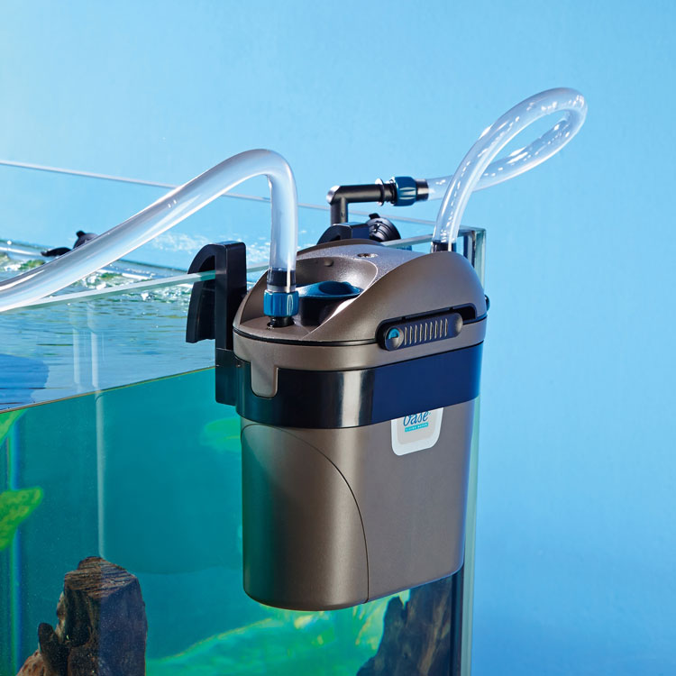 Фильтр в аквариуме должен работать постоянно или нет: можно ли выключать на ночь, в каких случаях и на сколько можно, а также, как часто можно