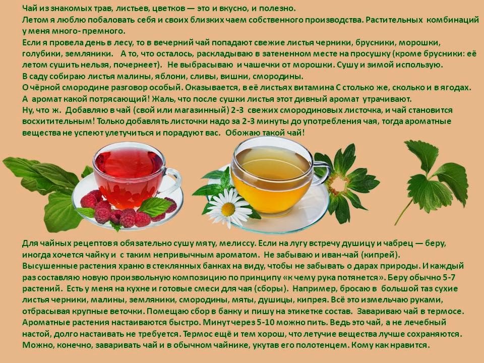 Сколько хранится чай? сроки хранения черного, зеленого, листового чая.