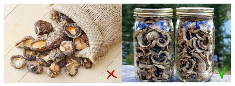Как хранить сушеные грибы в домашних условиях: условия и срок хранения