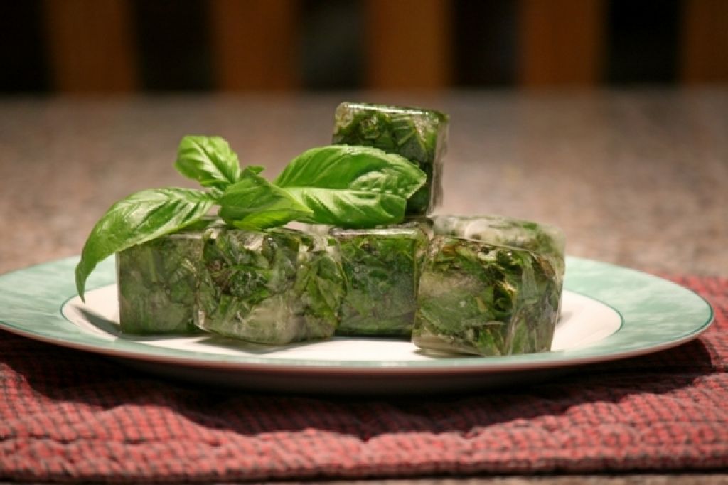4 способа заморозить базилик на зиму: сохраняем вкус и пользу