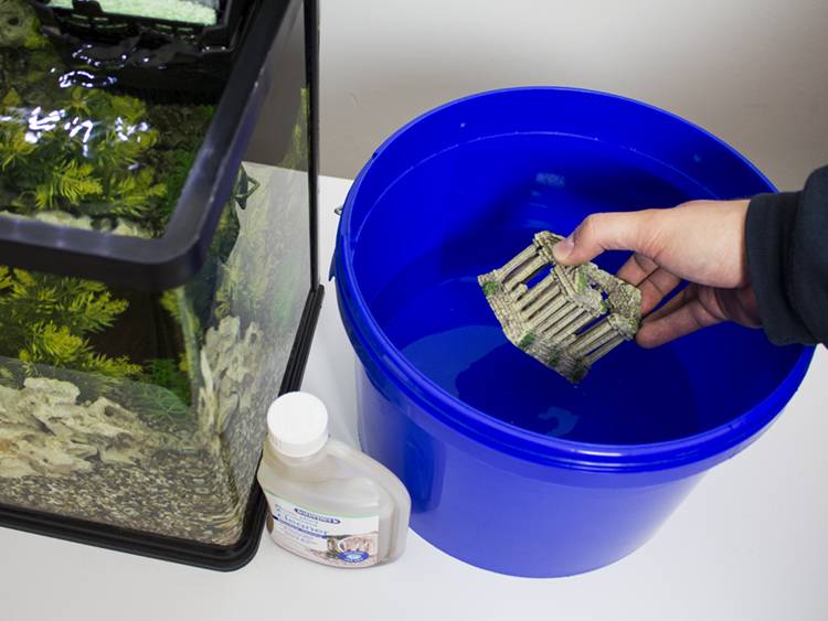 Чем и как избавиться от зелени в аквариуме народными средствами в домашних условиях: простые методы
