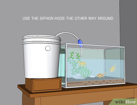 Инструкция для подготовки воды в аквариум