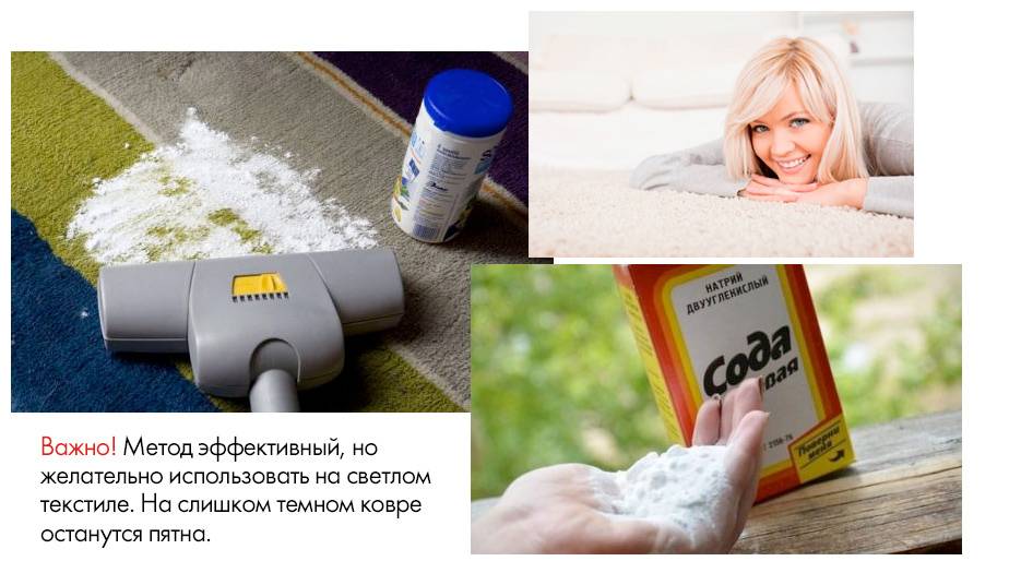 Как вывести с дивана запах кошачьей мочи — life-sup.ru
