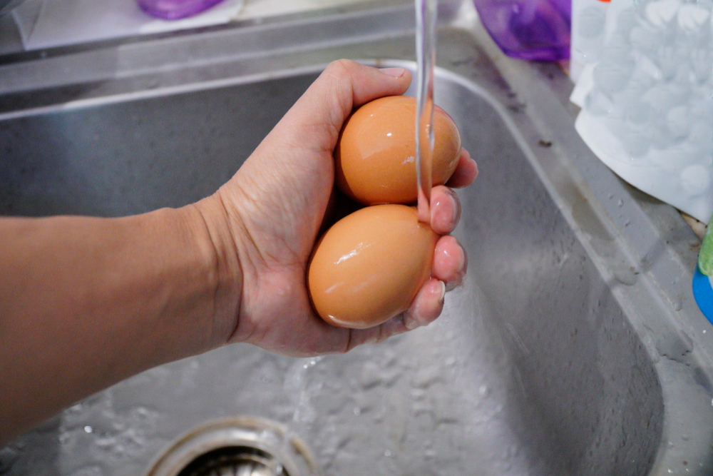 Почему и зачем моют яйца перед готовкой Нужна ли процедура перед хранением или инкубацией Факты о куриных и перепелиных яйцах