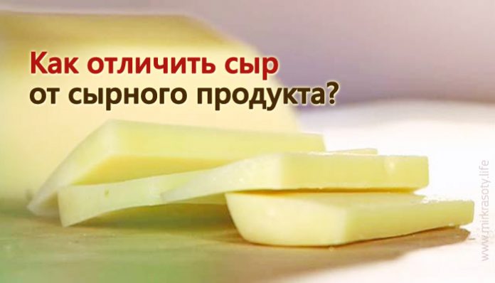 Девять способов отличить натуральный сыр от некачественного сырного заменителя