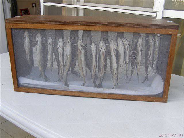 Можно ли вялить рыбу на солнце. все секреты правильной засолки и вяления рыбы в домашних условиях