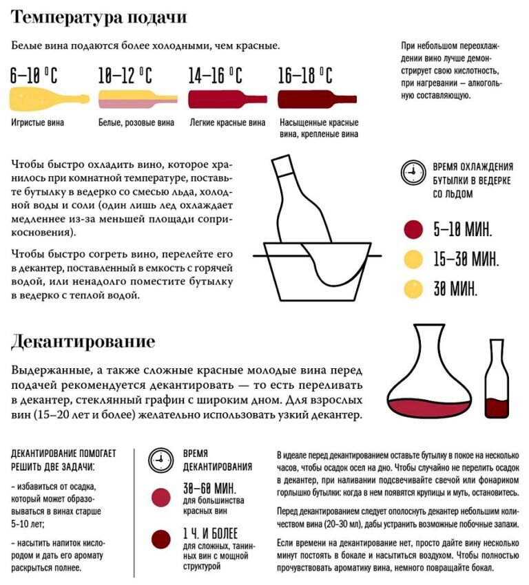 Правила и сроки хранения вина в пластиковой бутылке и стеклянной банке