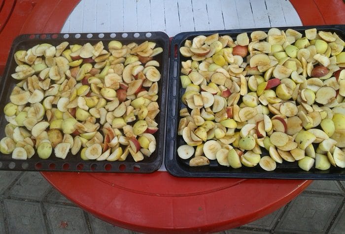 Идеальные яблочные чипсы в домашних условиях