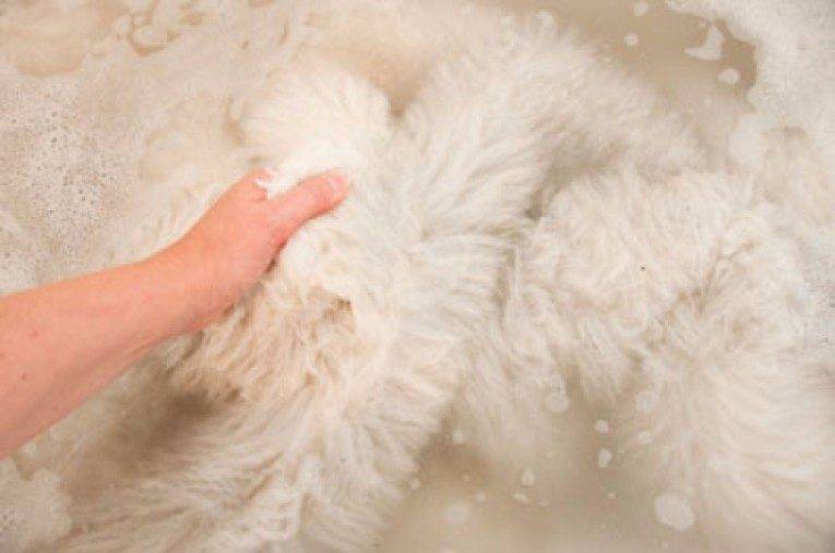 12 проверенных способов почистить мех норки, песца или любой другой