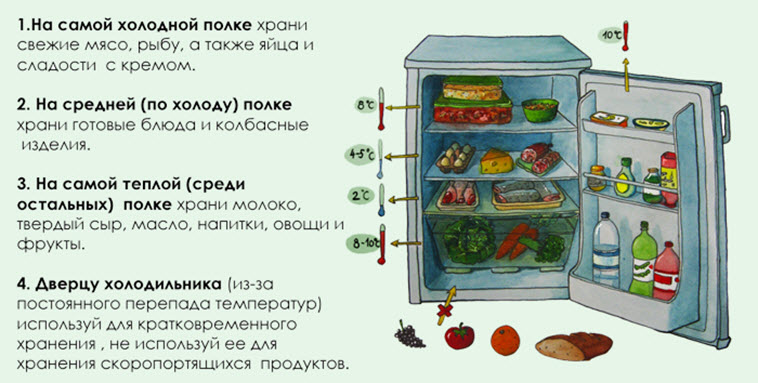 Сколько хранятся салаты с майонезом в холодильнике или заправленных другими соусами