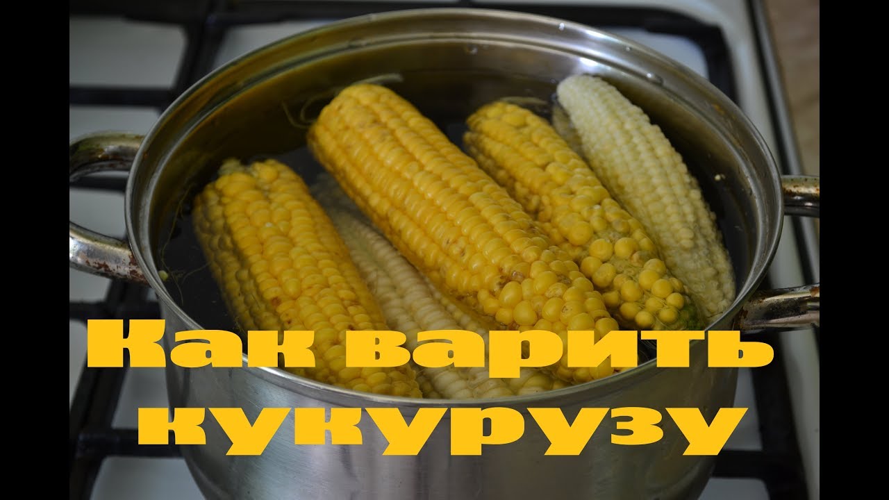 Рассказываем, как варить кукурузу, чтобы она всегда получалась мягкой, вкусной и сочной