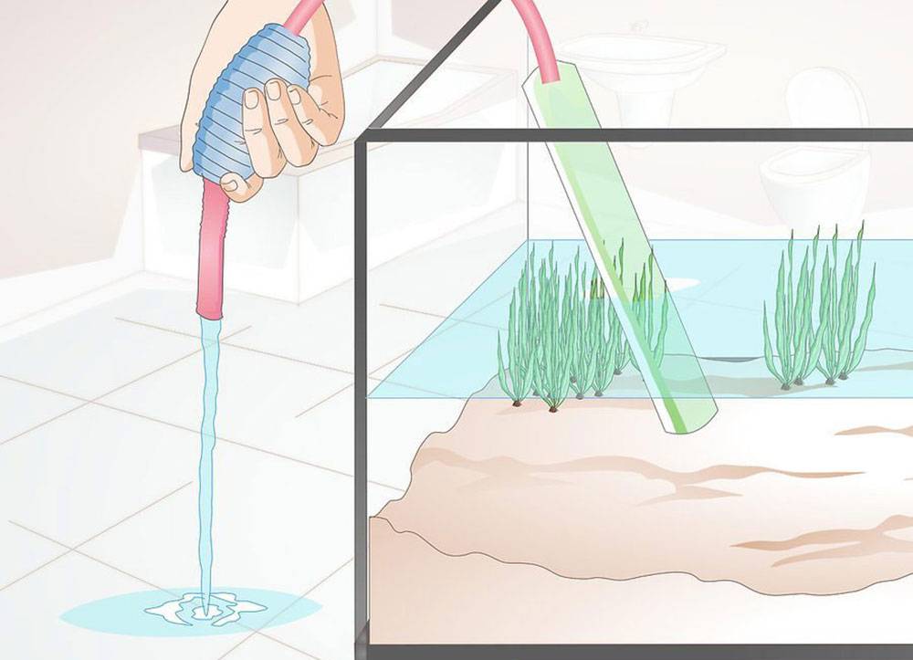 Вода для аквариума с рыбками: какую заливать, как подготовить в домашних условиях, можно ли добавлять кипяченую