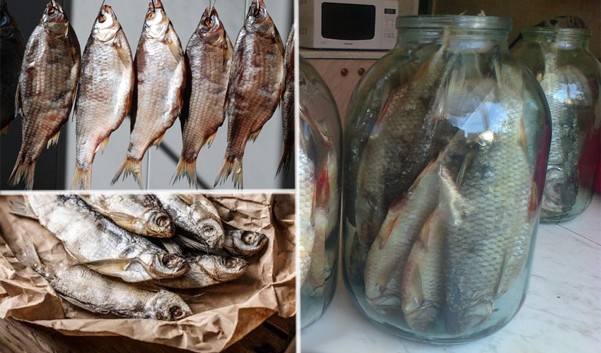 Таранка: секреты приготовления сушено-вяленой рыбы в домашних условиях