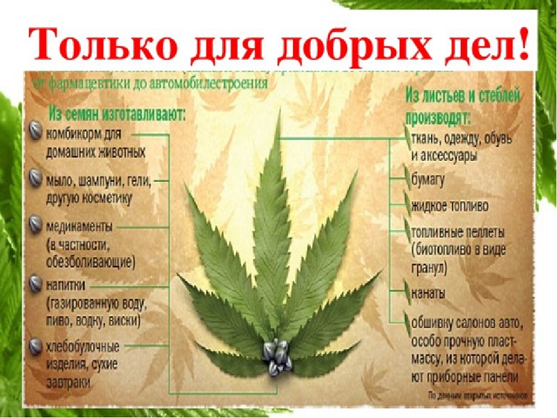 Конопля полезное растение сравнение вреда марихуаны и табака