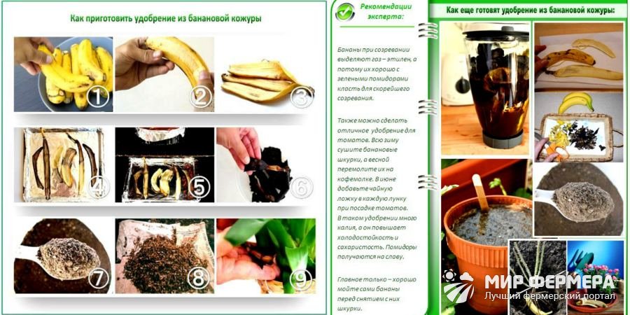 Банановые корки применение. польза банановой кожуры и 16 способов ее использования | дачная жизнь