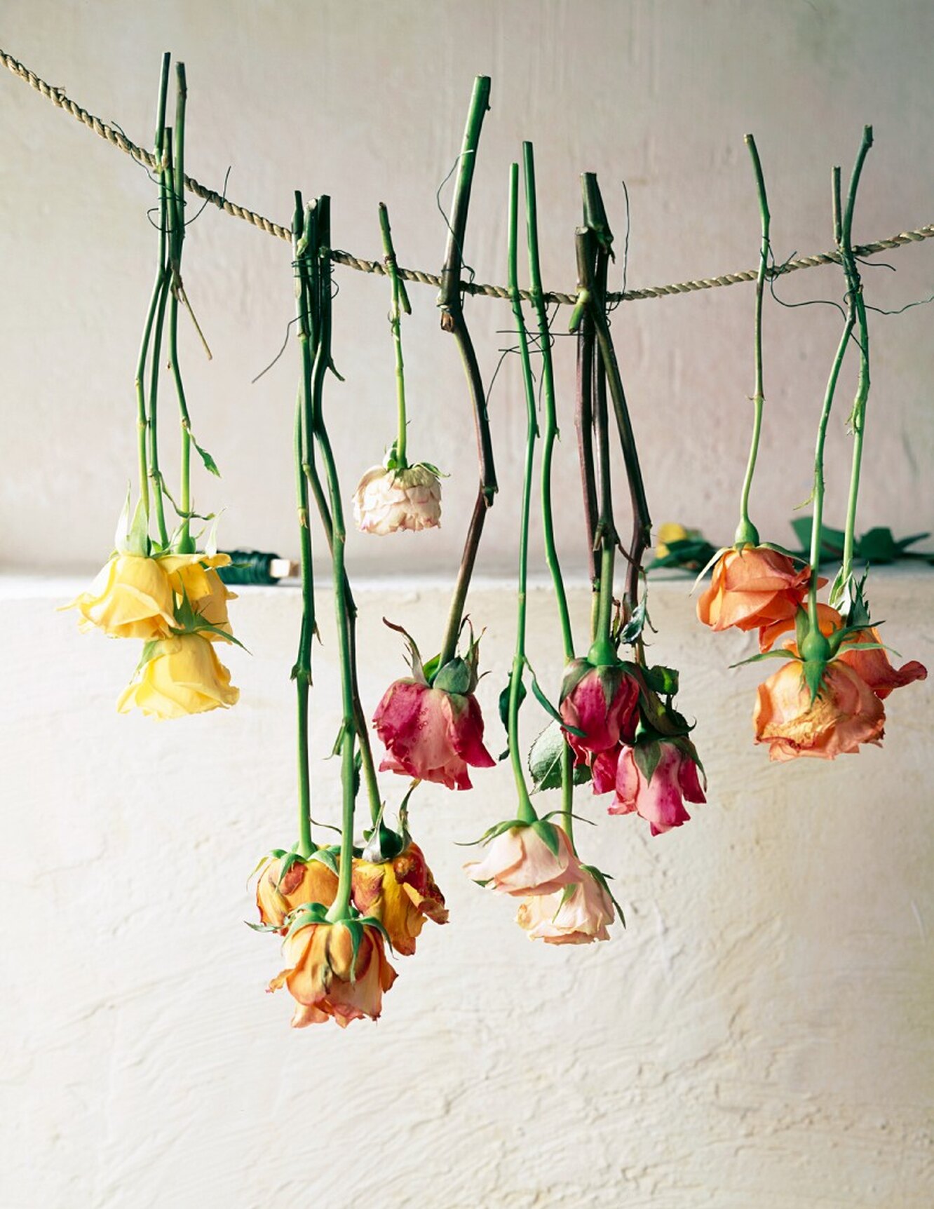Самые простые способы засушить цветы, сохранив их красоту :: инфониак