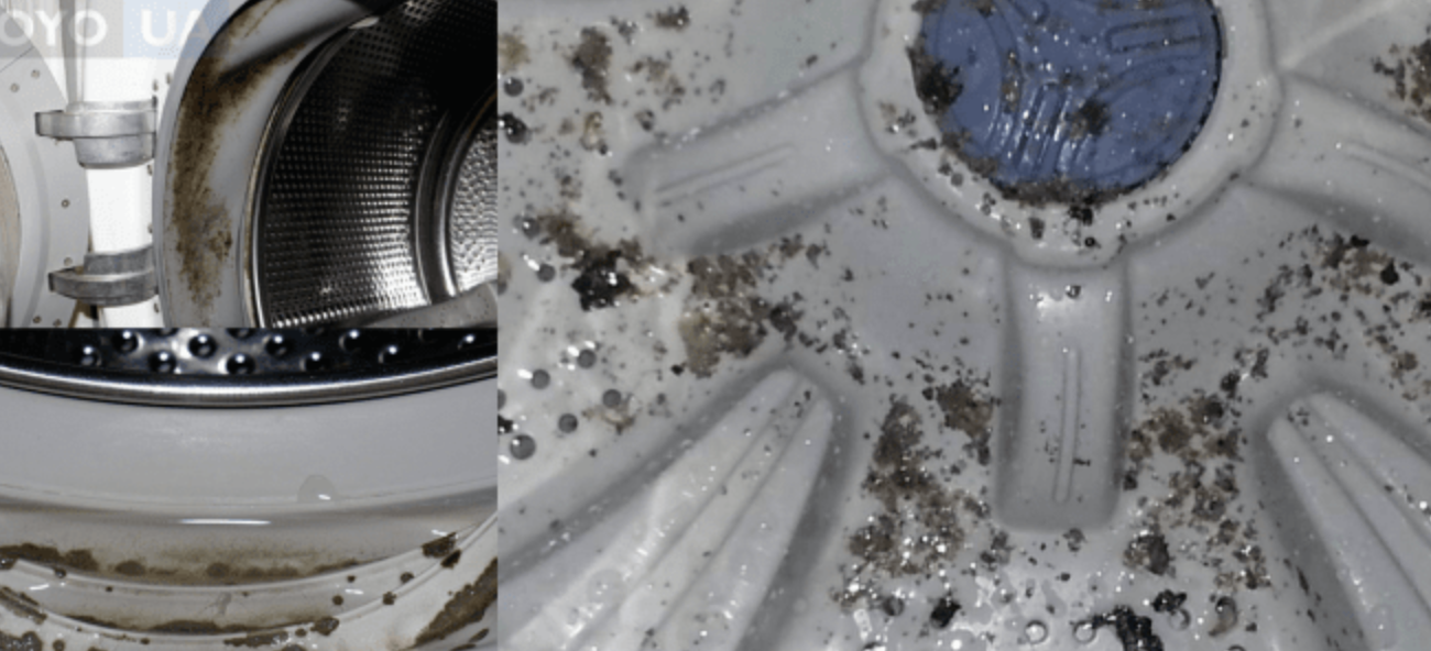 Плесень в стиральной машине как избавиться: как очистить резинку, почистить автома, чем отмыть, доместос