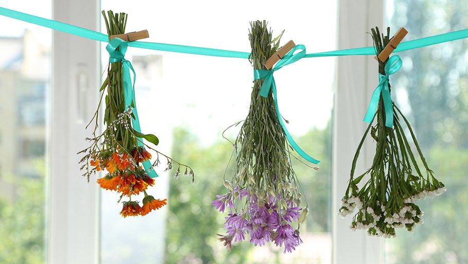 Сухоцветы: 3 способа высушить цветы в домашних условиях
