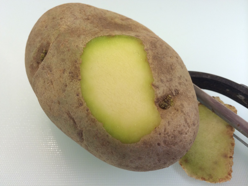 Можно ли есть зеленую картошку, если срезать бока, и чем опасна зеленая кожура для здоровья