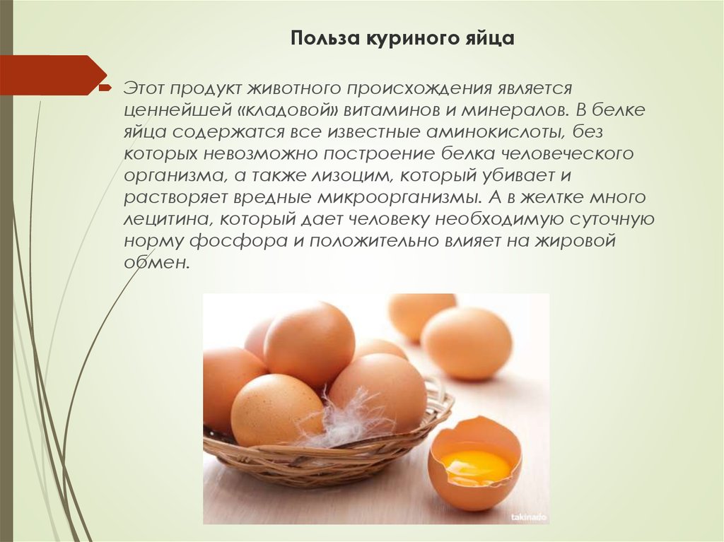 Вареные яйца: в чем польза и вред для организма человека