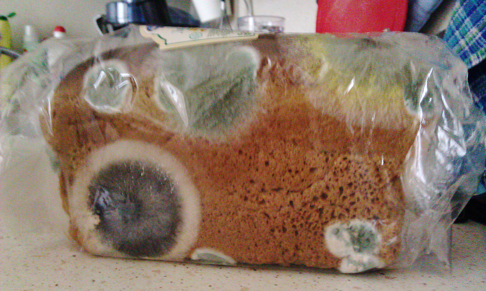 Как хранить хлеб в домашних условиях - советы чтобы не черствел