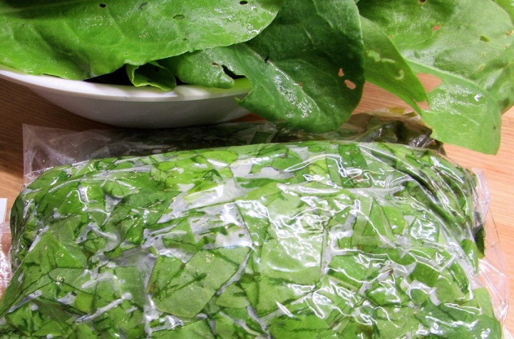 Замораживание щавеля в морозильной камере — простая и удобная заготовка зелени на зиму, которая позволит сохранить полезные свойства и вкусовые качества растения