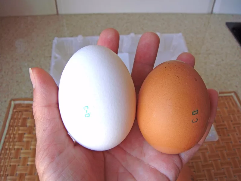 Яйца с2 лучше с0. Яйца св с0 с1. C1 c2 яйца. Категории яиц с0 с1 с2 сорт. Co c1 c2 яйца.