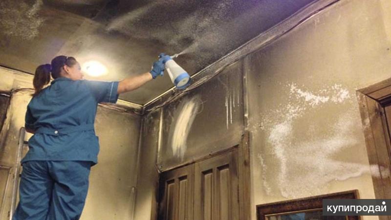 Как избавиться от запаха краски в квартире после ремонта: простые способы