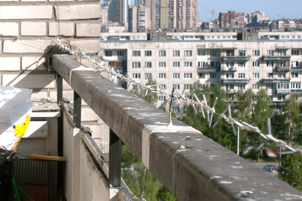 Как избавиться от голубей на балконе: 18 проверенных средств | дневники ремонта obustroeno.club