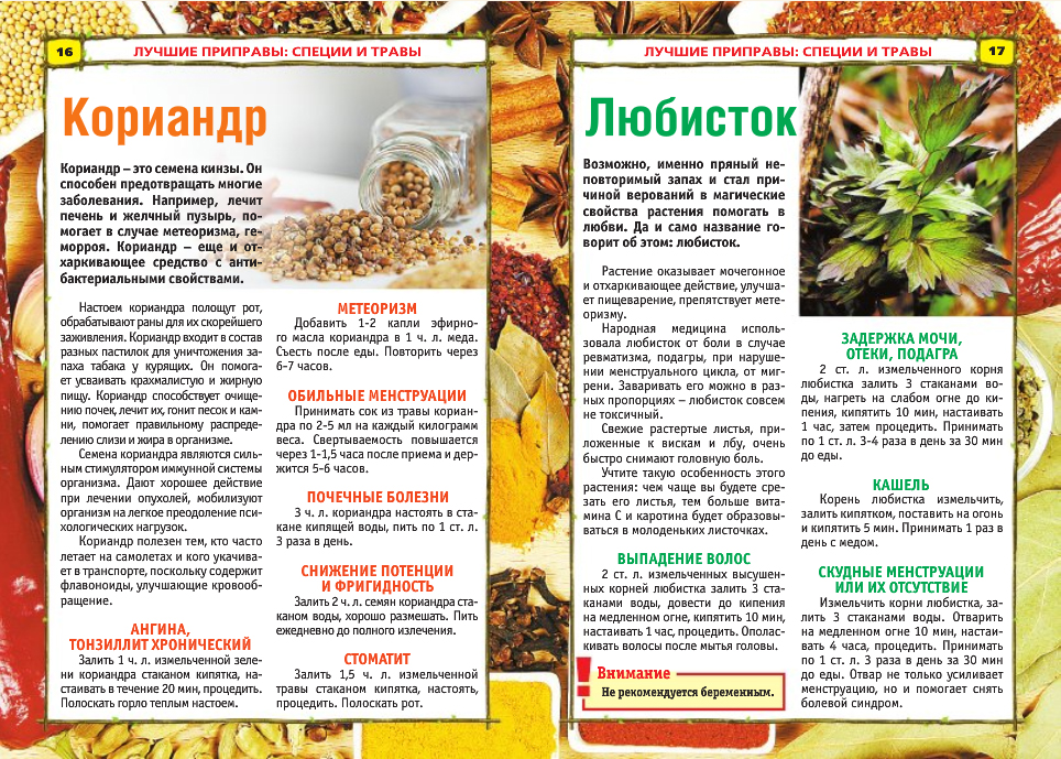 Приправы, специи и пряности для мяса, домашние рецепты фоторецепт.ru