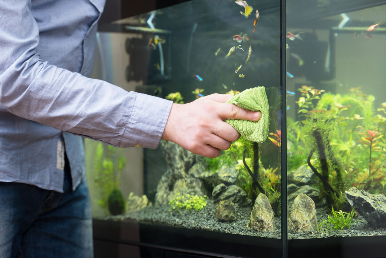 Как отмыть аквариум от известкового налета?