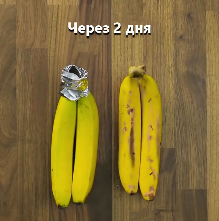 Как хранить бананы, чтобы они не чернели: дома и в магазине, правила