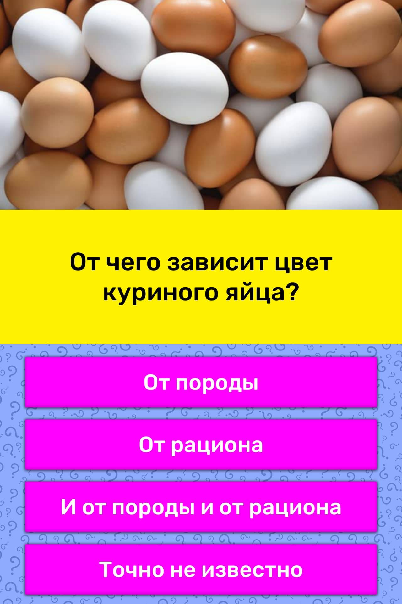 Покупая яйца, выбираете только белые или коричневые Верите в исключительную пользу голубых яиц Тогда обязательно прочтите эту статью — вы будете удивлены