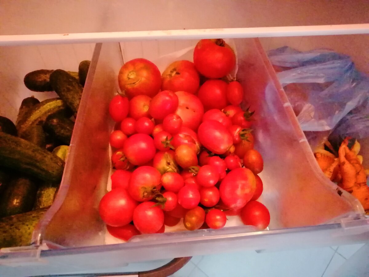 Как хранить помидоры свежими до нового года, как сохранить на зиму в домашних условиях в холодильнике