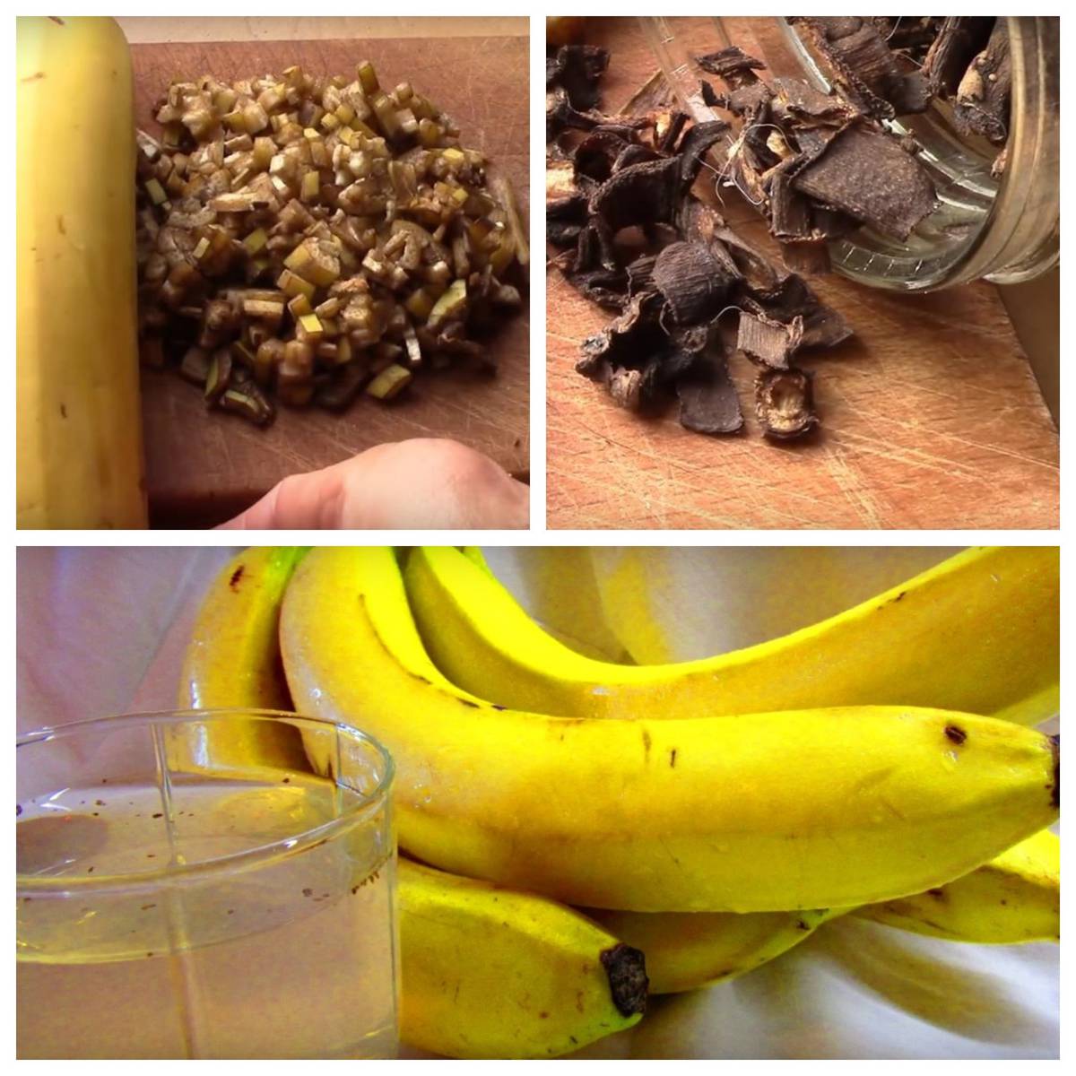 Почему не нужно выбрасывать банановую кожуру: 10 удивительных причин - новости yellmed.ru