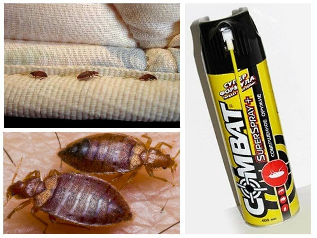 Как избавиться от тараканов навсегда в квартире в домашних условиях: эффективные способы