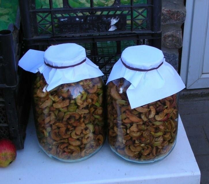 Как хранить орехи и сухофрукты в домашних условиях