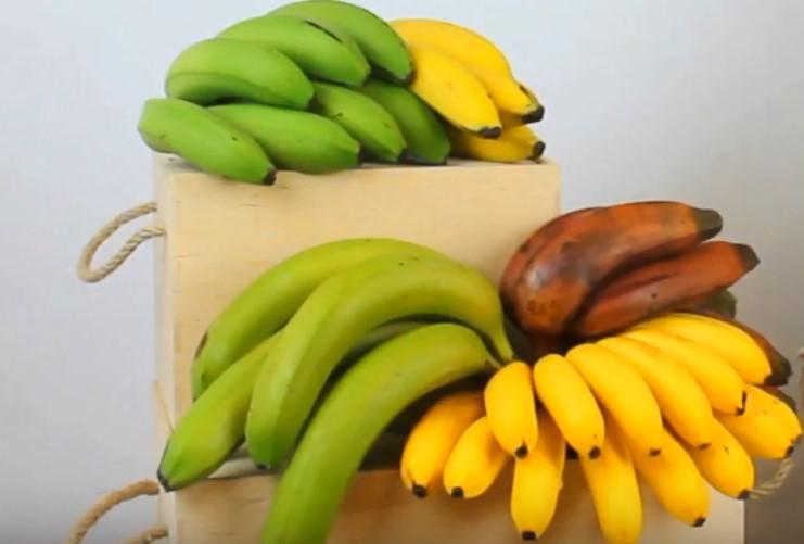 Можно ли замораживать бананы на зиму в морозилке?