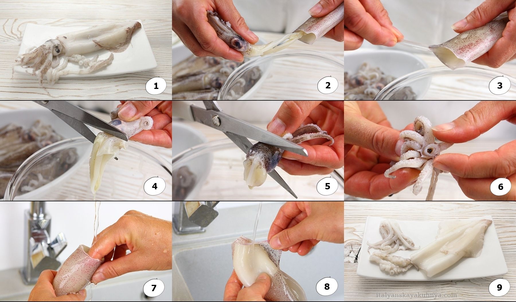 Как правильно чистить кальмары – пошаговая инструкция
