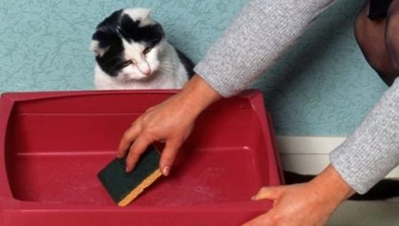 Как чистить лоток у кошки, чтобы не оставалось запаха