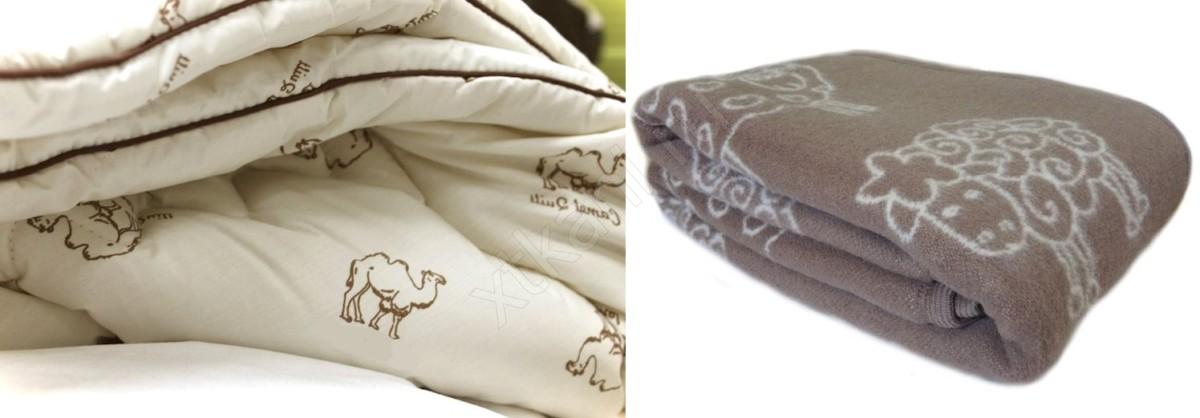 Как стирать одеяло из шерсти: верблюжьей и овечьей