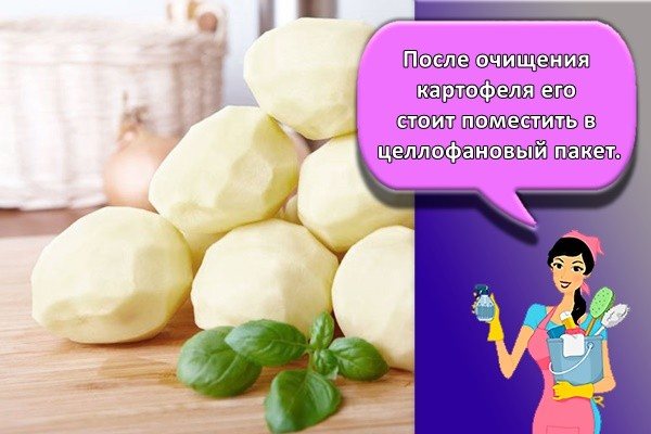 Сколько хранится вареная картошка в холодильнике, не теряя полезных свойств