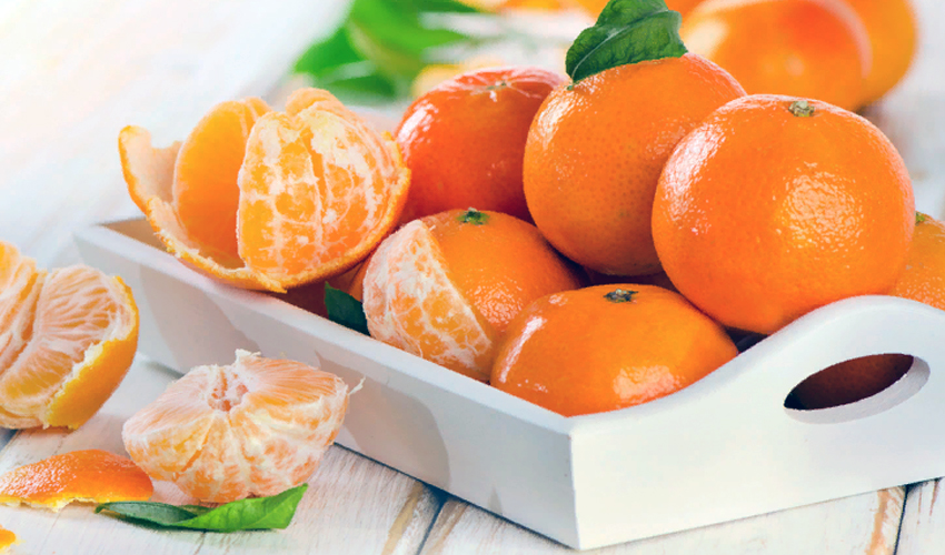 Как хранить мандарины в домашних условиях :: syl.ru